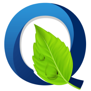 Q