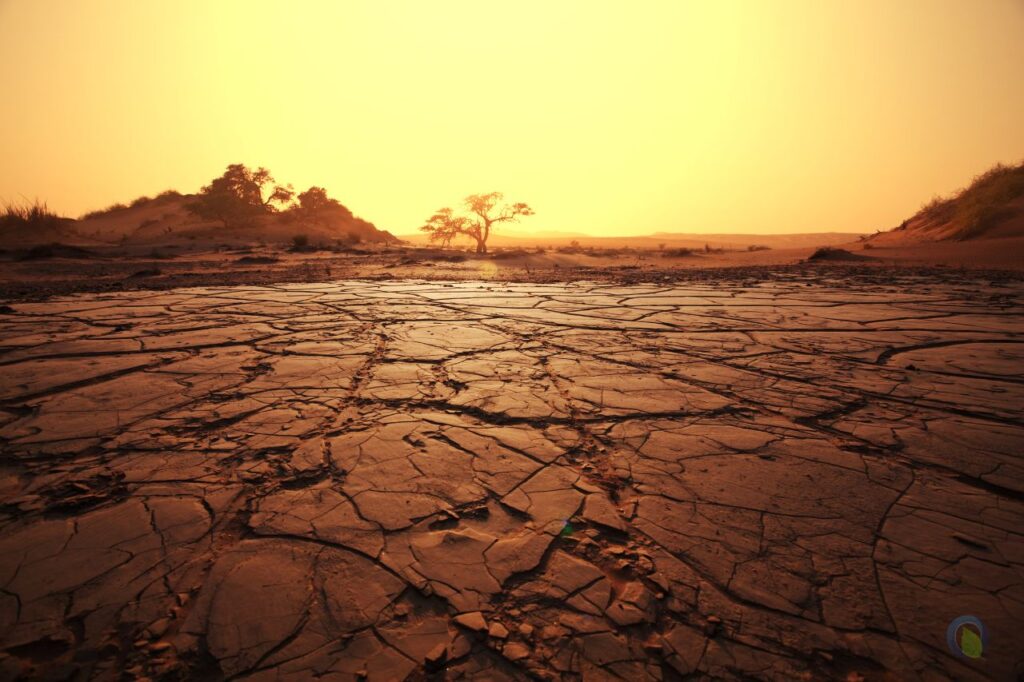 dryland